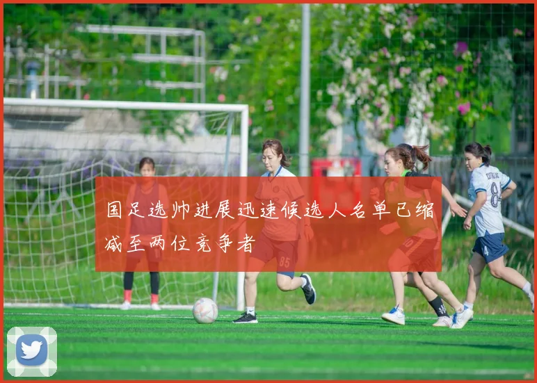 国足选帅进展迅速候选人名单已缩减至两位竞争者