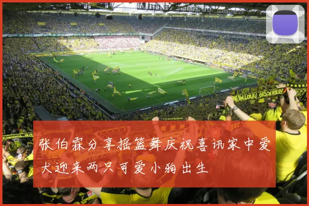张伯霖分享摇篮舞庆祝喜讯家中爱犬迎来两只可爱小狗出生